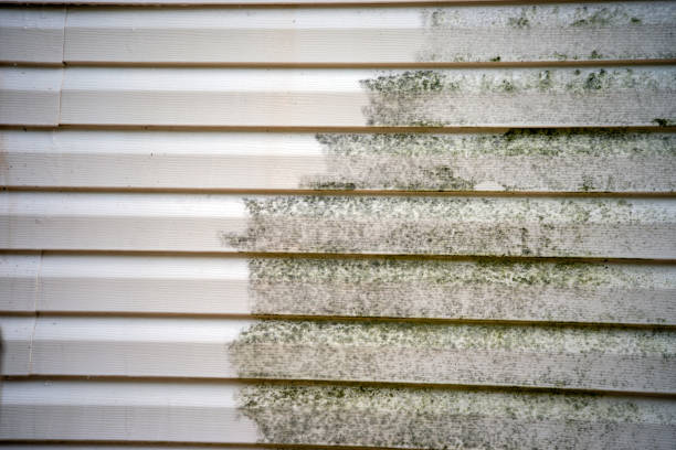  Endwell, NY Junk Removal Pros